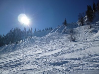Olympia Damen Abfahrt, nicht präparierter Teil