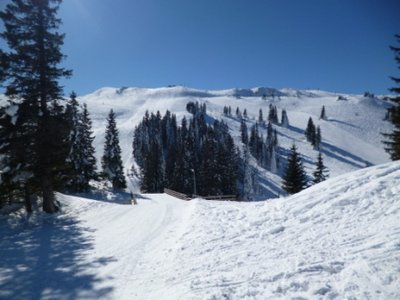 Olympia Damen Abfahrt, Start und oberer Abschnitt