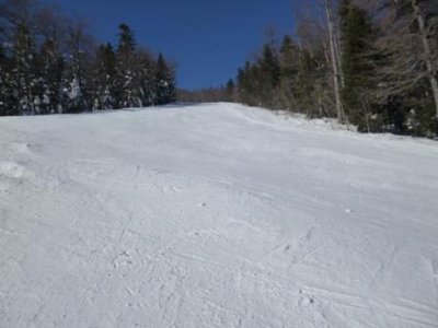 Jetzt im Waldbereich