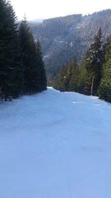 pistenabschnitt nach überquerung eines waldweges