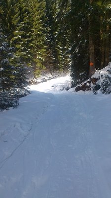 übergangsweg zum ziehweg (letzter pistenabschnitt)