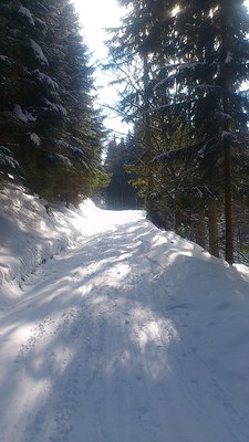 übergangsweg blick zurück