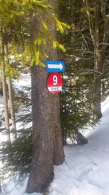 noch als rote 9 markiert