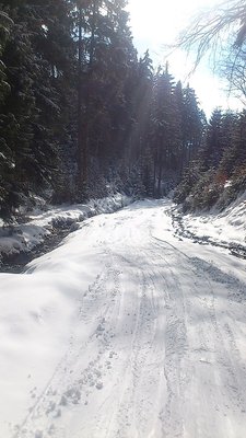ziehweg mit bachlauf