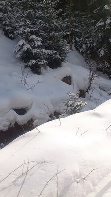 schneelage noch gut auch unten