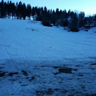 Sommerbob offen statt Ski.jpg