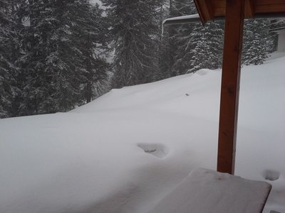 Schneite den ganzen Nachmittag