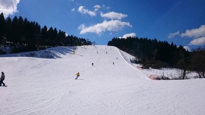 2015-04-05 11.49.56.jpg