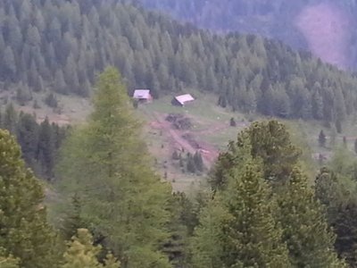 Blick zur Schafalm runter