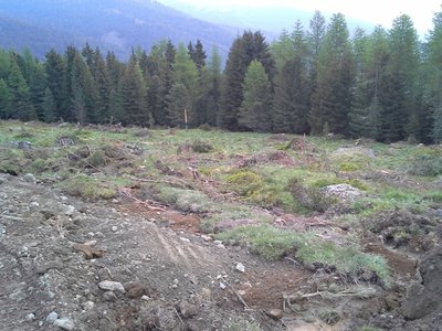 Standort Talstation Schafalmbahn