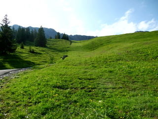 In der Bildmitte der obere Teil der bisherigen Schlepplifttrasse des Wiedhaglifts - bereits ohne Liftmasten. Dies wird in Zukunft eine schöne neue Abfahrtsmöglichkeit sein.