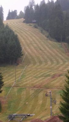 Rote Abfahrt, übrigens mit die beste im Gebiet. Unten liegt die Talstation des Stangenschleppers.