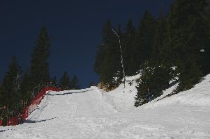 Wenn das kein Anblick für unseren kris ist ...