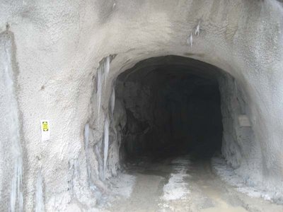Tunneleingang in Hörndlinger Graben