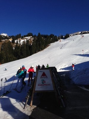 Wallisgaden (375x500).jpg