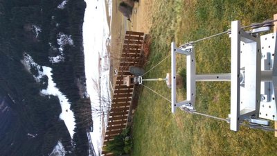 DSC_0537 (Medium).JPG