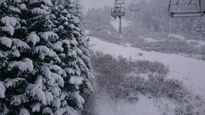 Endlich winterliche Tannen