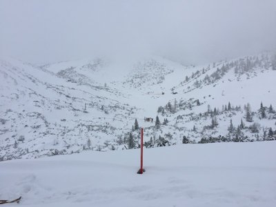 2016-01-21_120833034_407D7_iOS (Custom).jpg