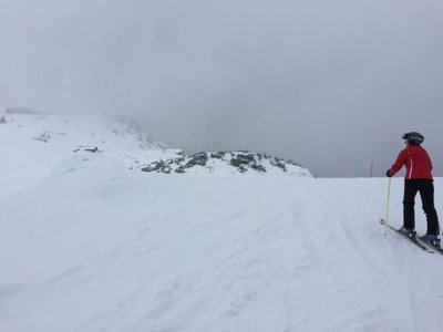 2016-01-21_120835469_D41F9_iOS (Custom).jpg