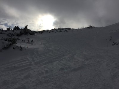 2016-01-21_124809932_F90D0_iOS (Custom).jpg