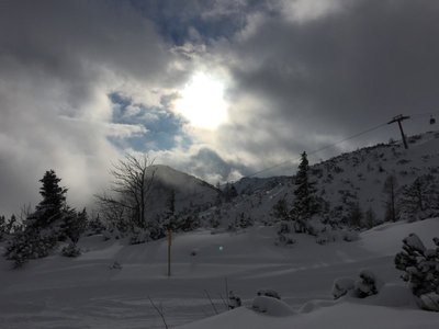 2016-01-21_125559331_A3A7B_iOS (Custom).jpg