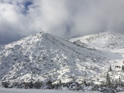 2016-01-21_130949089_8D234_iOS (Custom).jpg