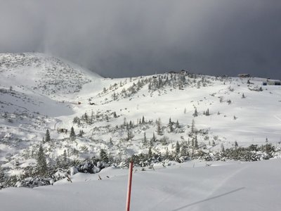 2016-01-21_130952725_8CC94_iOS (Custom).jpg