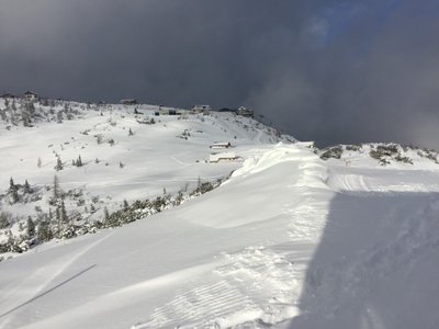 2016-01-21_130957160_C50D3_iOS (Custom).jpg