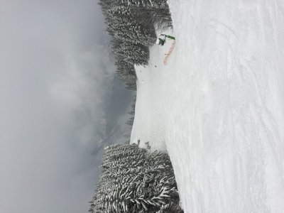 2016-01-21_132701159_ACD15_iOS (Custom).jpg