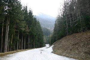 OK, dieser letzte Ziehweg war schon matschig ...