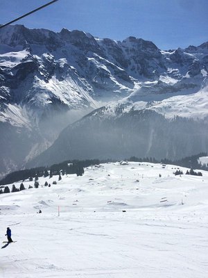 Hier hätte ich gerne eine KSB gehabt. Übrigens die einzige Piste mit den ersten grünen Flecken