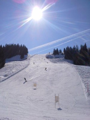 Walde Steilhang 28.03.2016