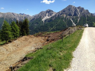 Blaue Ruis, Baumgrenze