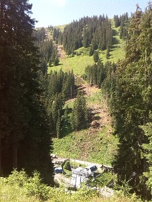 Die Trasse ist schon abgeholzt