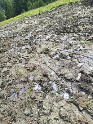 Piste 9. Hier ist zu erkennen wie schwierig die Bodenverhältnisse sind.