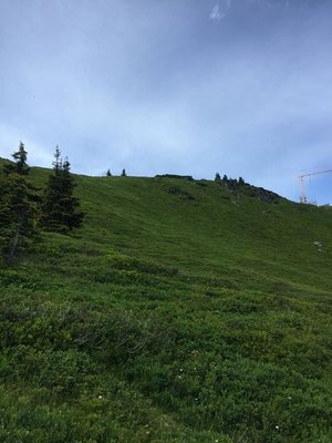 Oberer Teil der neuen Piste