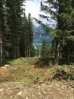 Verbreiterung der Piste Nr. 2 im Bereich Wieslechalm oberhalb des neuen Speicherteiches um ca. 20m.