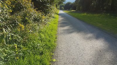 12016-08-14 18.22.58.jpg