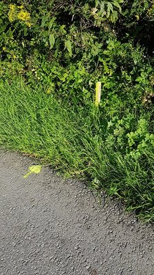 22016-08-14 18.22.48.jpg