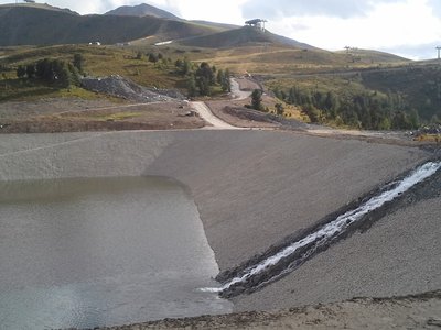 Ein Bacherl schwingt .....jpg