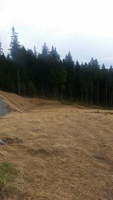 ziehwegähnliche Piste gleich nach der Brücke