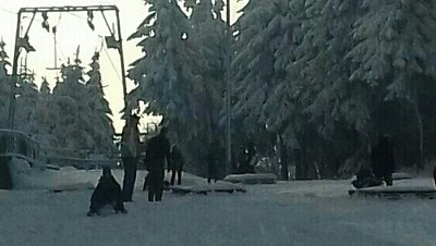 Oberer Teil der Märchenwiese