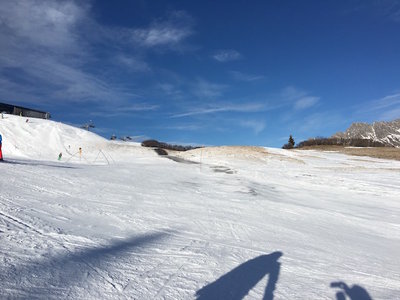 freigeblasen kurz unter Weibermahd