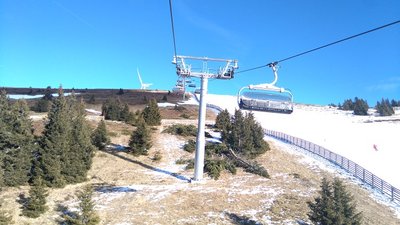 Die Bäume unter der KSB hat man jetzt gerodet. Das hätt man auch im Sommer machen und sie dann gleich wegziehen können!