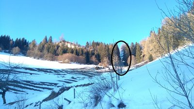 Im Oval erkennt man eine kurze Waldschneise - den Mittelteil der ehemaligen DSB "Senderbahn"