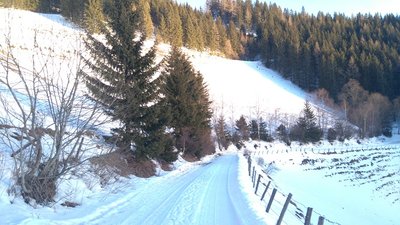 Variantenhänge "Gruberalmen" &amp; Skiweg nach Möderbrugg ; die Zäune kamen alle erst nach der Aufgabe der Lifte für die Almwirtschaft
