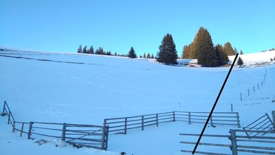 ehemaliger Trassenverlauf der DSB "Seidlalm" im oberen Bereich