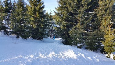 2017-01-30 21.16.34.jpg