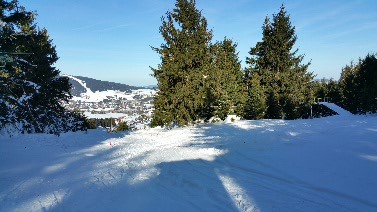 2017-01-30 21.16.00.jpg