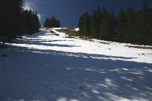 Angekommen! Blick auf die zweite schwarze Piste (links vom Schlepper), die wird nicht beschneit und normalerweise auch nicht gewalzt. Die war selbst mir zu aper ...